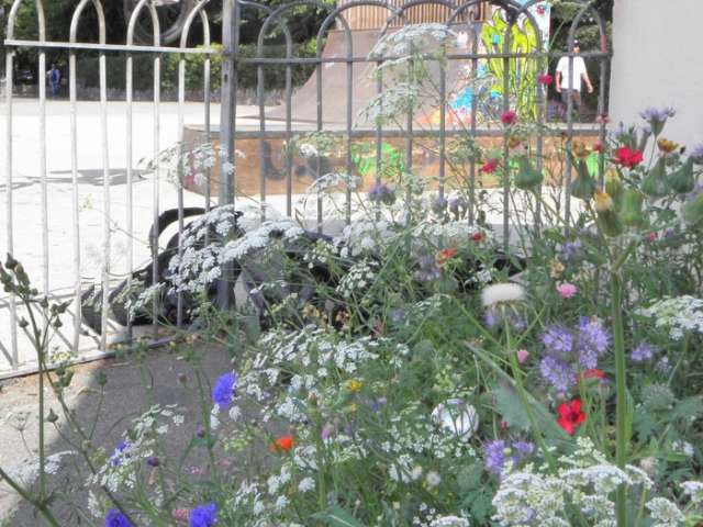 Blue, white, purple and red wild flowers in bloom can be seen in front of a grey, metal fence surrounding the border.