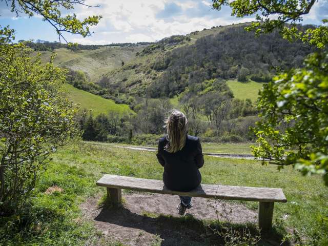 Rear view of a woman with long hair seated on a bench overlooking fields and hills in The Living Coast area, framed by leaves from surrounding trees