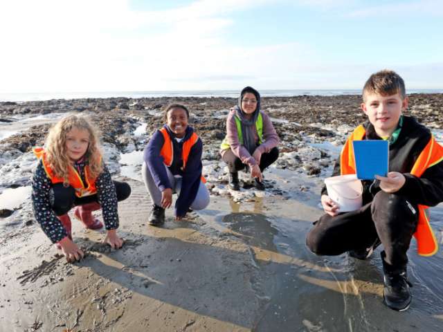 Four primary school pupils on the beach at Ovingdean rockpooling