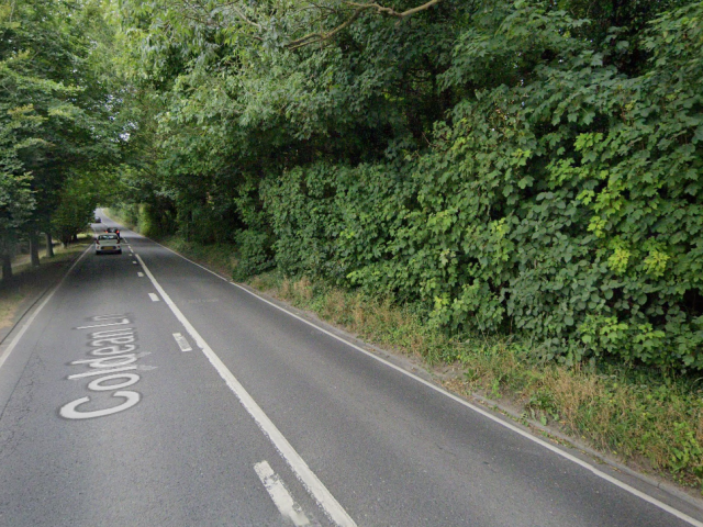 A picture of a road with vegetation either side