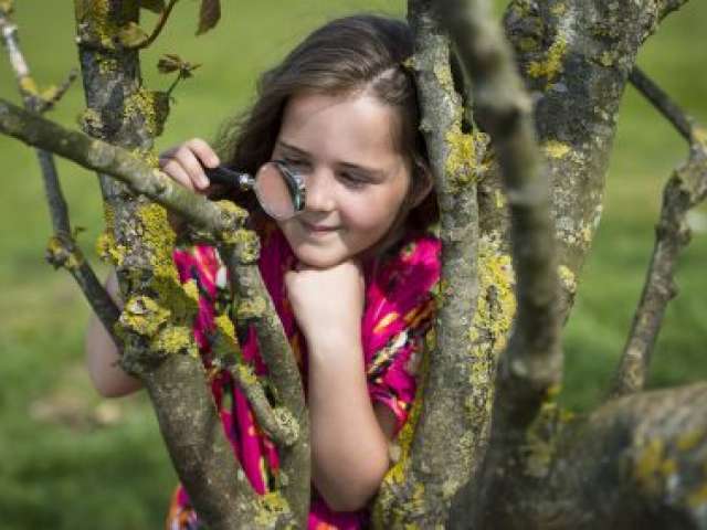 Girl in a pink dress sitting in a tree with a magnifying glass looking at a bud close up