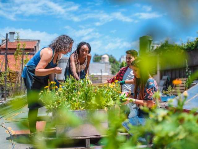 A picture of four people round a wooden box, planting herbs and plants together as part of a community project. 