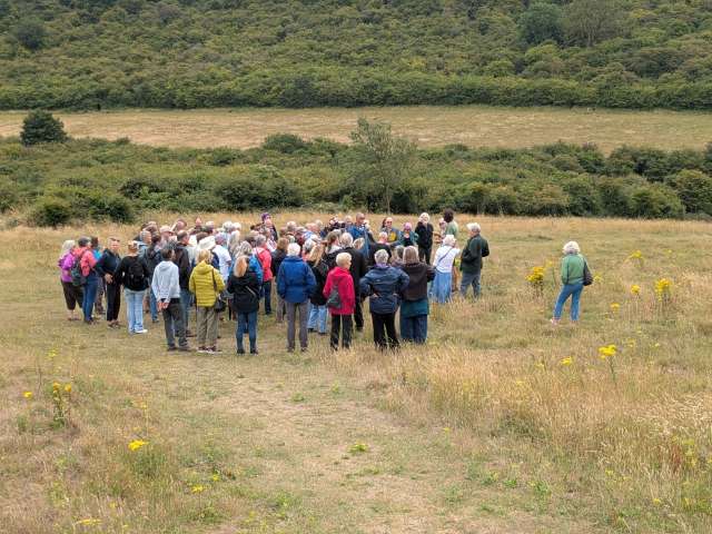 Dozen of volunteers stood in a field listening to an expert talk.