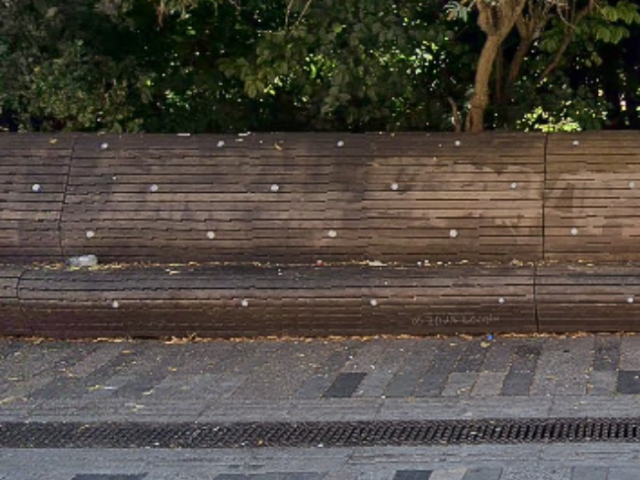 Face on photo of wooden benches with trees behind them and pavement in front of them.