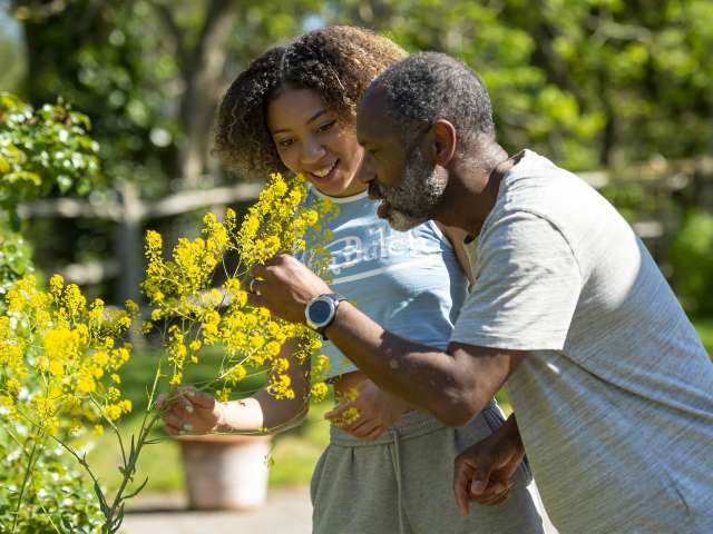 Girl and man inspecting yellow gorse at Ditchling Museum in the summer