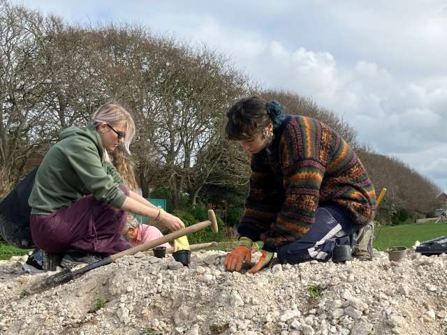 2 Changing Chalk youth rangers planting wildflowers in Wish Park on top of the chalk bank
