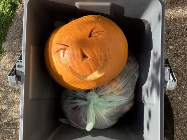 Pumpkin placed in an outdoor food waste caddy with orange lid alongside food waste wrapped in a compostable liner