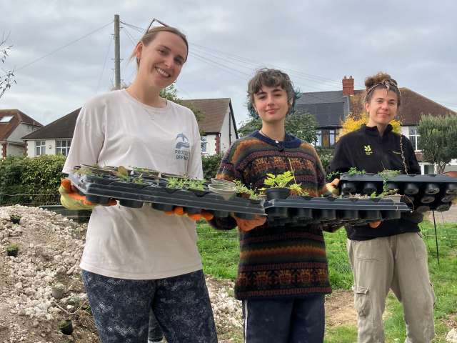 Three youth rangers holding trays of wildflowers ready to plant in Wish Park