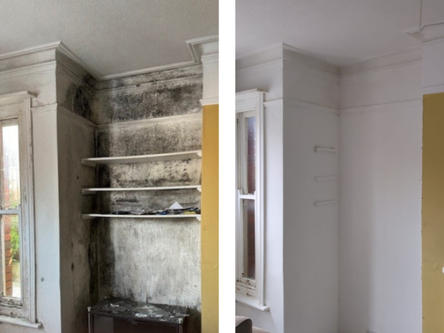 Before and after shots of a corner of a room following mould treatment