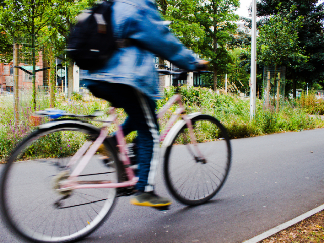 a person riding a bike