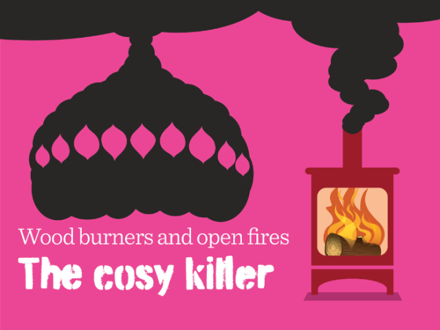 an illustration of a wood burning stove with smoke billowing in the shape of the Royal Pavilion in Brighton with the words 'wood burners and open fires, the cosy killer'