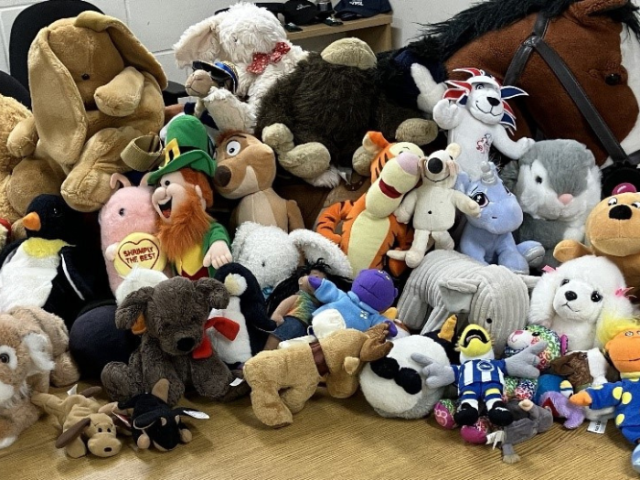 a photo of dozens of soft toys laid out on a table