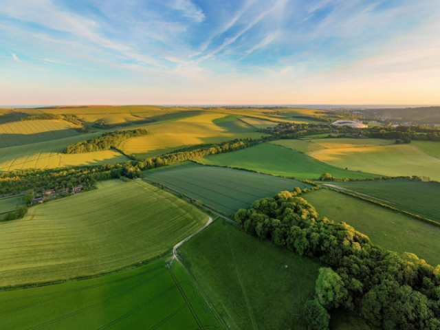 View of the Downs looking towards Brighton & Hove