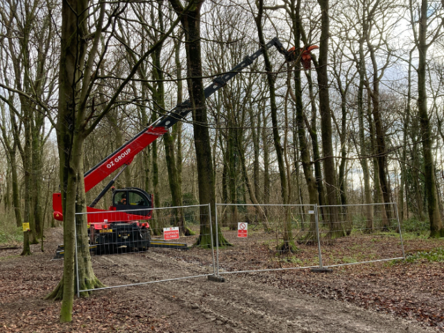 Large crane carrying out tree work in woodland