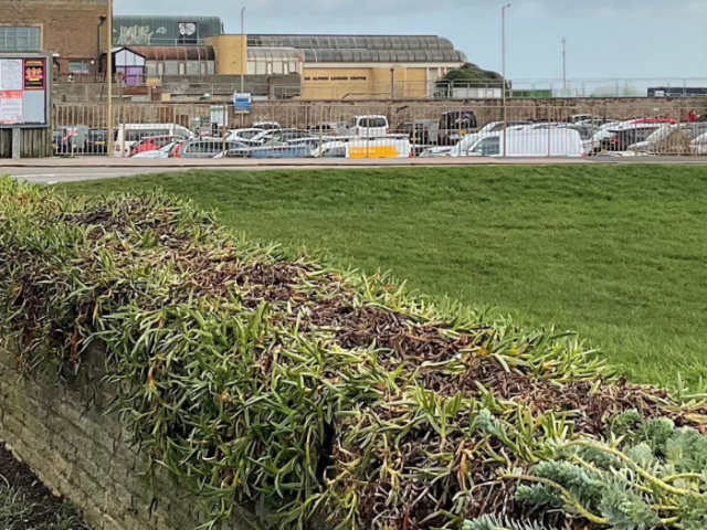 Hedgerow and lawn in the foreground with the King Alfred Leisure Centre in the background.