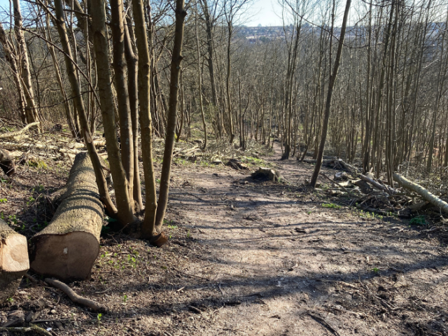 Section of footpath from Stanmer to Coldean