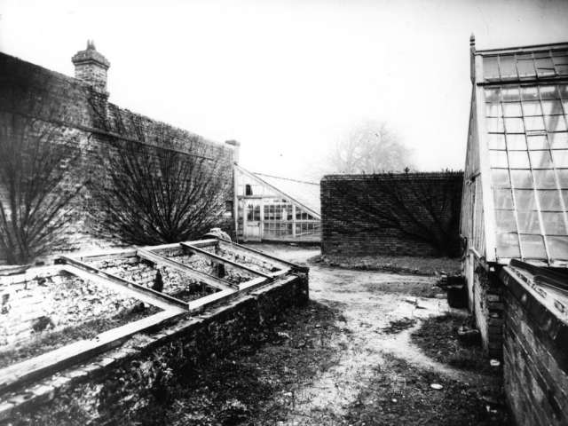 Stanmer Park greenhouse
