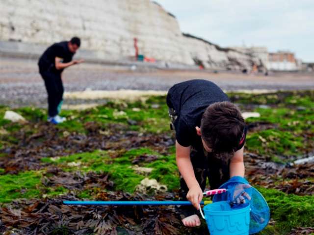Rock pool