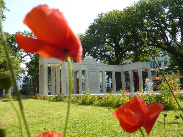 Poppies in front of the Old Steine War Memorial