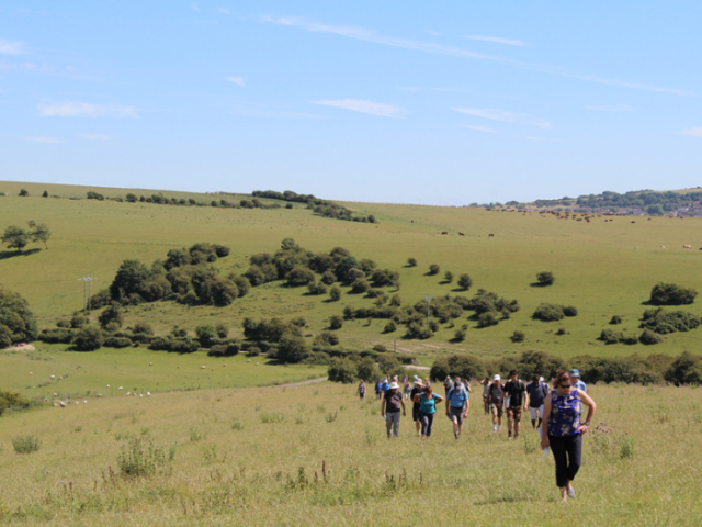 Walking in the South Downs