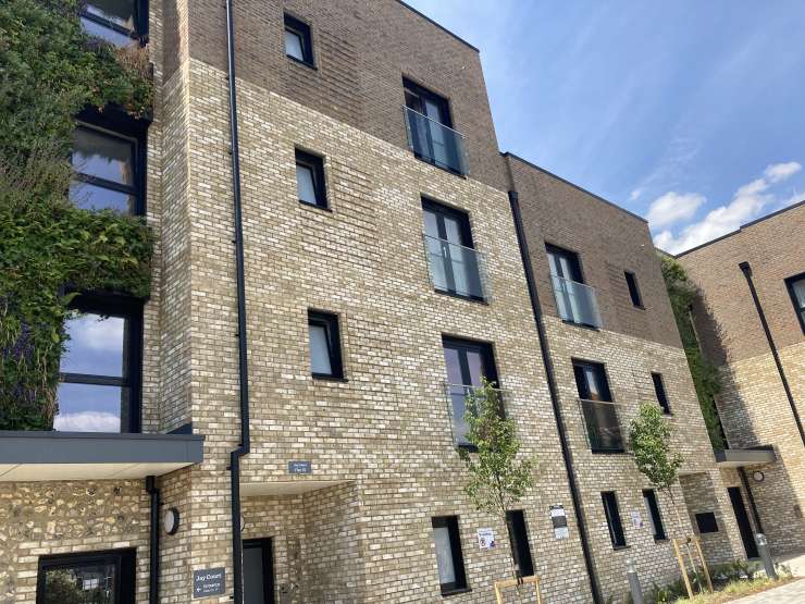Block of flats with light bricks, black window frames and plants outside.