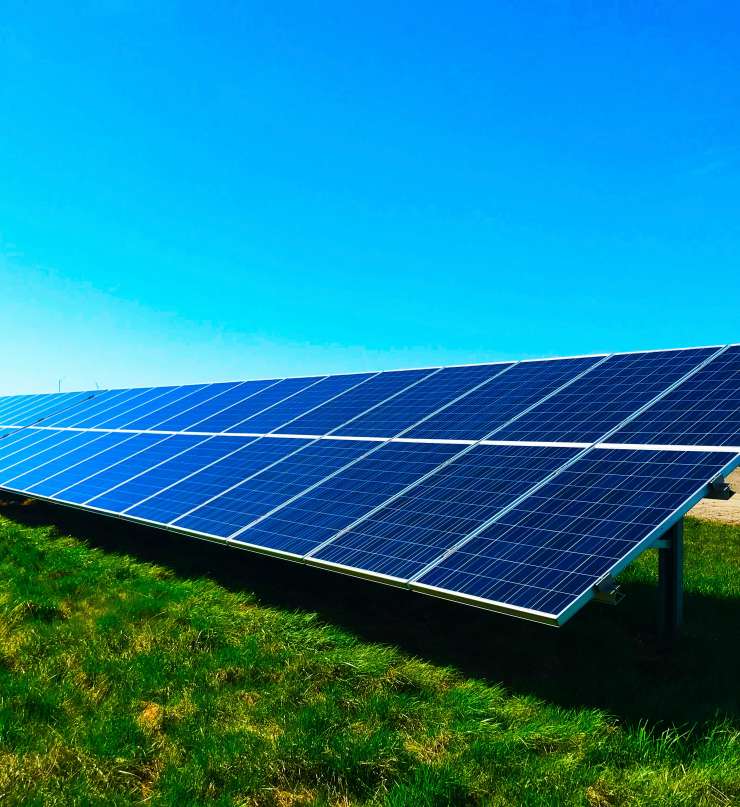 A long section of solar panels stands in a field. The sky above them is clear and blue.