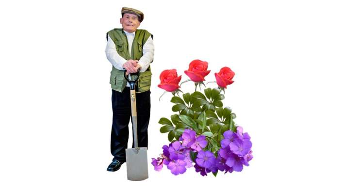 Older person standing next to flowers.