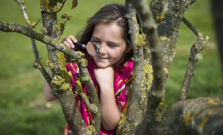 Child playing in tree in the countryside.